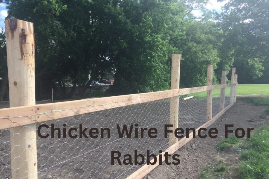 chicken wire fence for rabbits