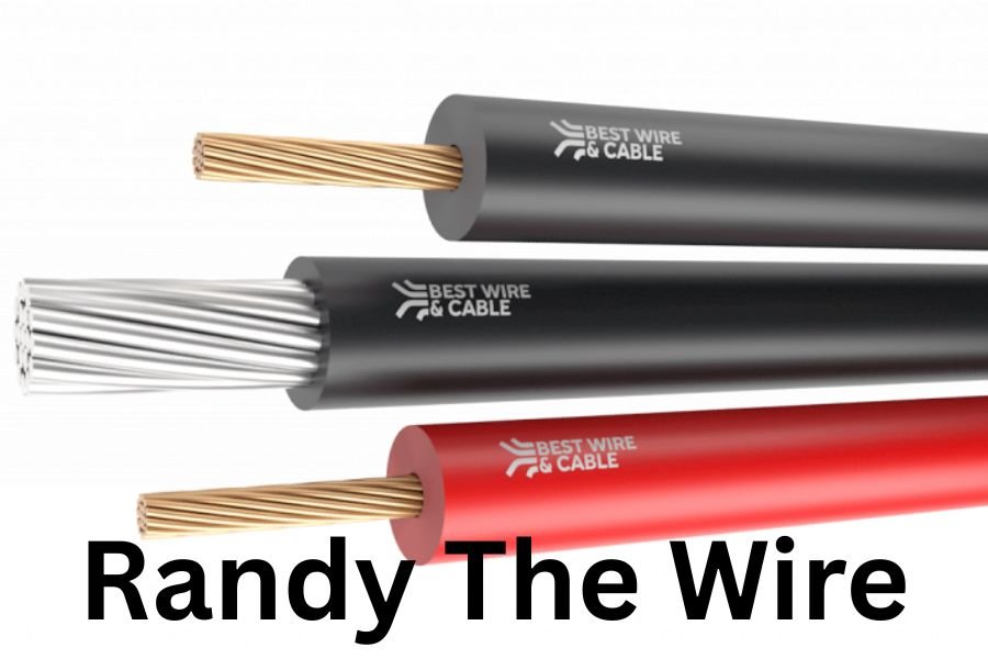 Who is Randy the Wire? Complete Guide