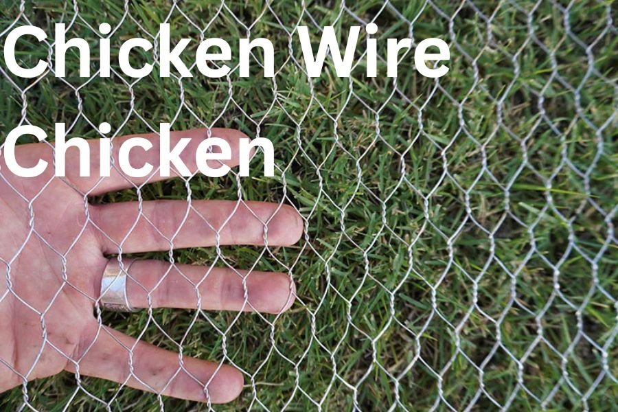 BT Wireless Boosters: The Ultimate Guide For Better Coverage