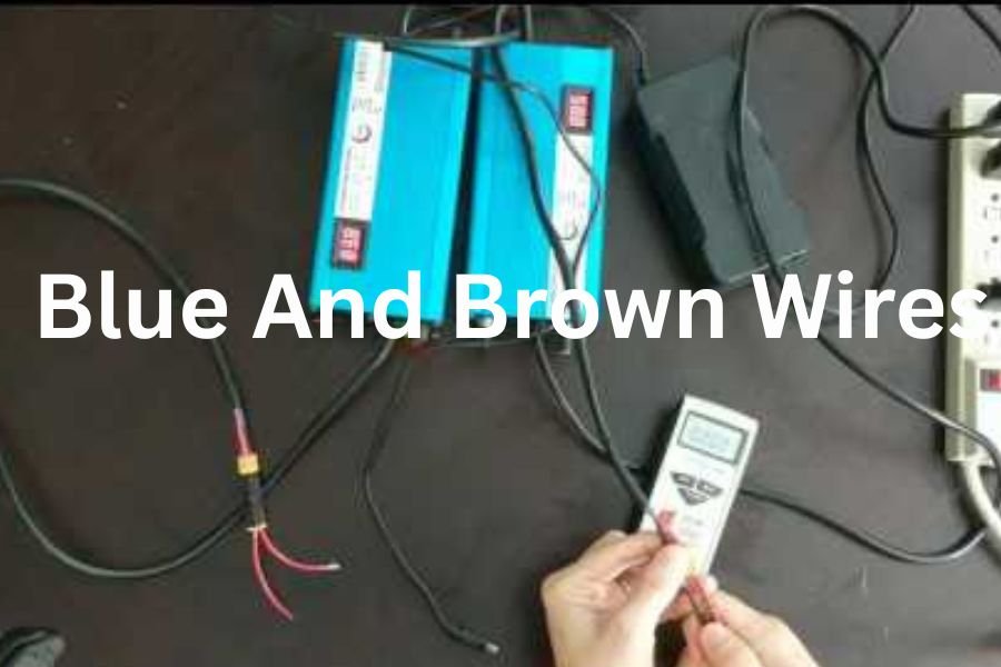 blue and brown wires